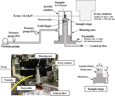 Observation of Microstructure Formation During Freeze-Drying of Dextrin Solution by in-situ X-ray Computed Tomography